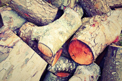 Eltringham wood burning boiler costs